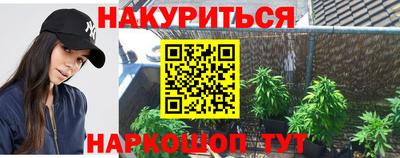 шишки Новокубанск
