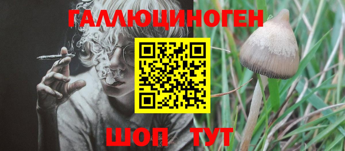 даркнет сайт  Вход с VPN  Псилоцибиновые грибы ЛСД  Советск  Псилоцибиновые грибы Cubensis 