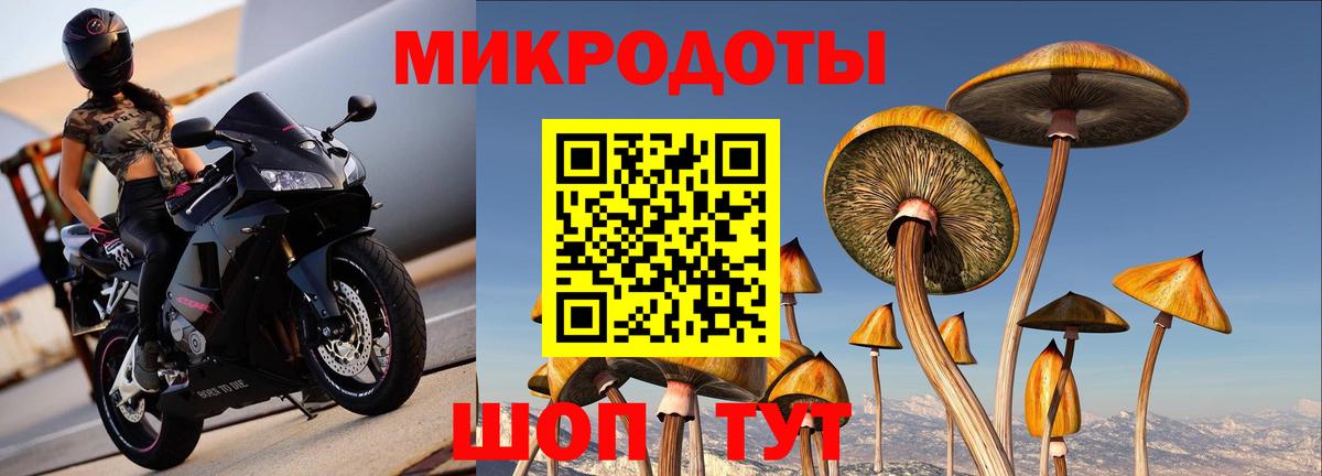 Галлюциногенные грибы Cubensis Советск